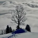 Haus Marija شقة بارثولومابيرغ