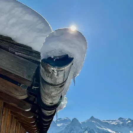 Lejlighed Haus Marija