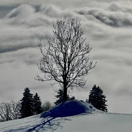 Haus Marija Lejlighed Bartholomäberg